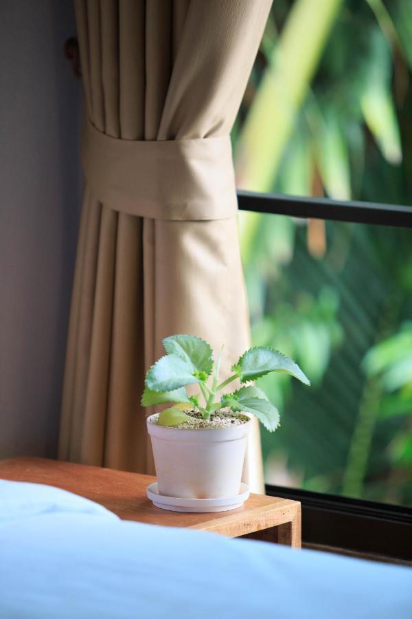 In My Place Cafotel Khlong Thom Екстер'єр фото